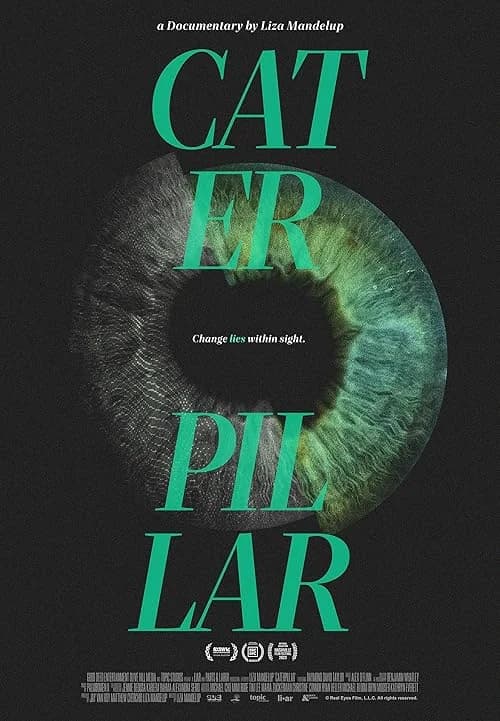 Caterpillar film posteri